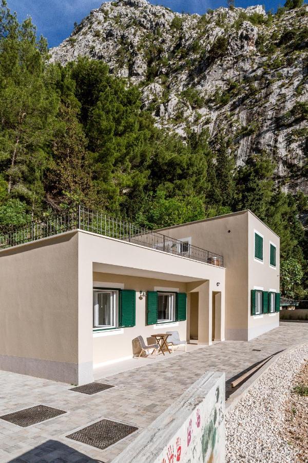 Ivino * Omis